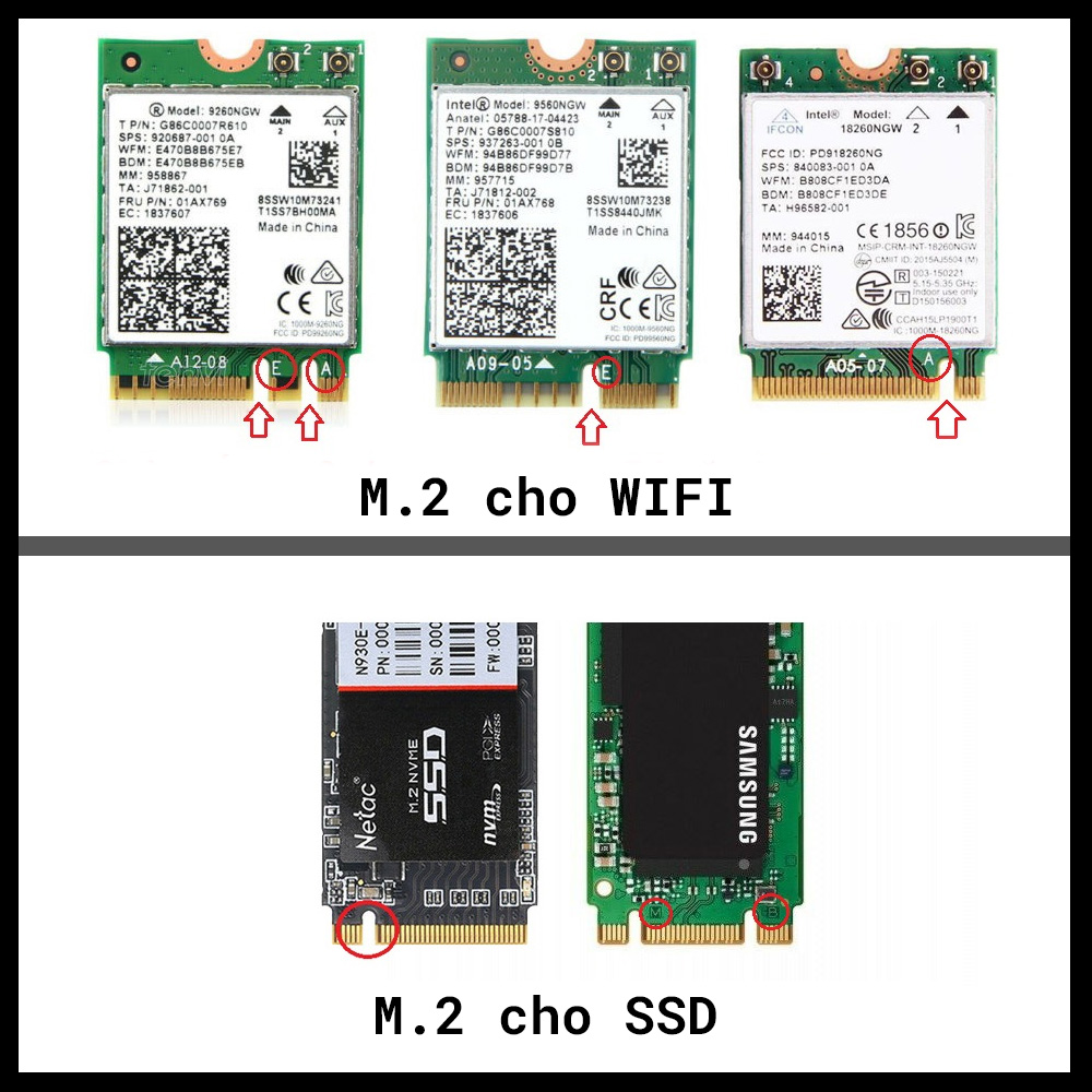 M.2 Cho Wifi Và Ssd