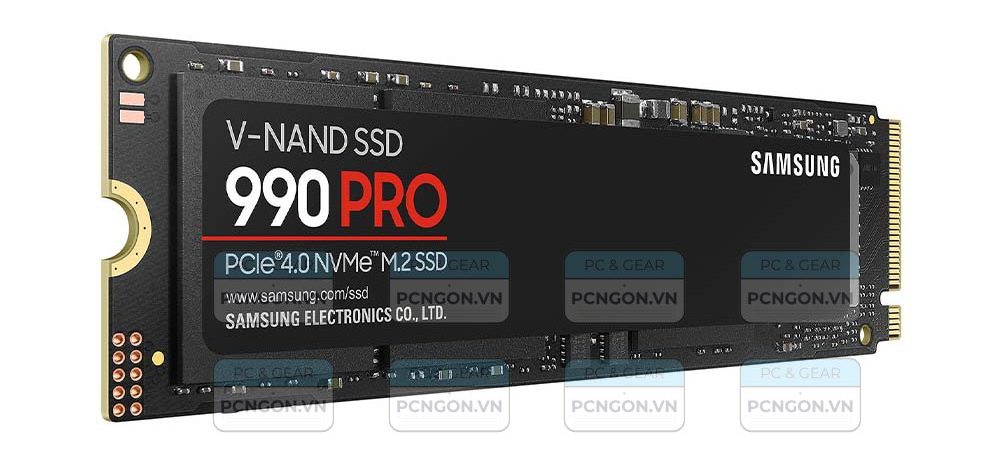 Cac-loai-ssd-pcngon