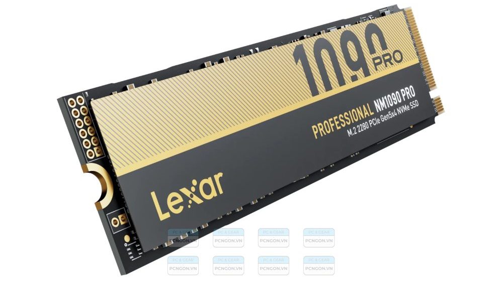 O-dia-ssd-1