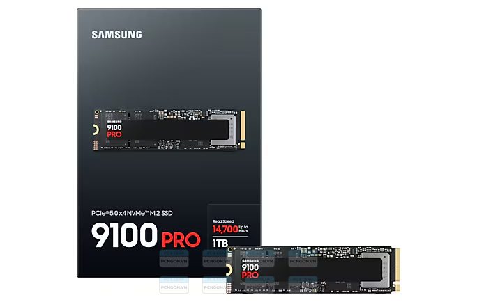 O-dia-ssd-2