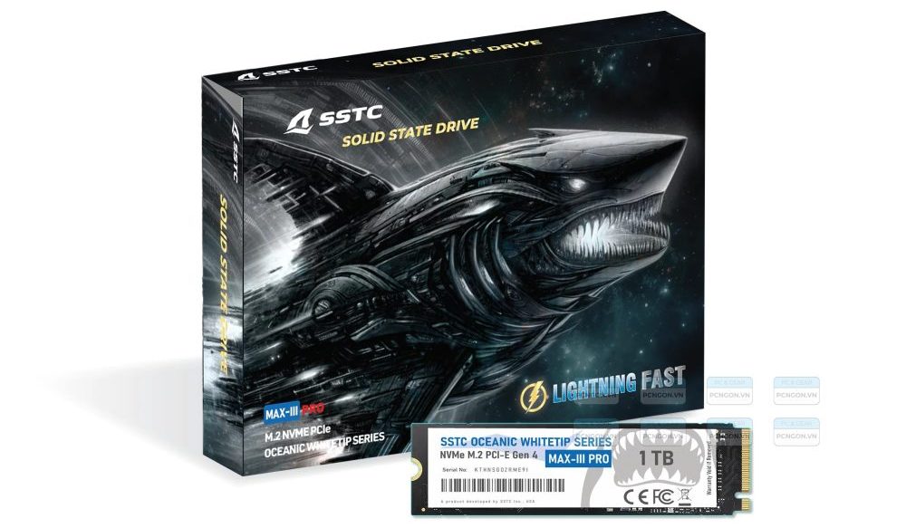 O-dia-ssd-3