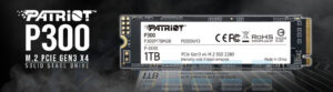 Ổ Cứng Ssd Nvme Patriot P300 256gb Gen3 X4 2